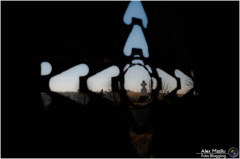 poza 20 ianuarie bun