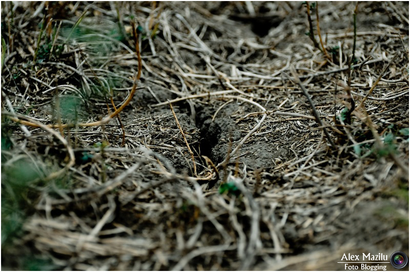 rubrica 13 noiembrie