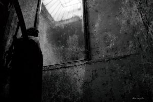 editorial-14-decembrie